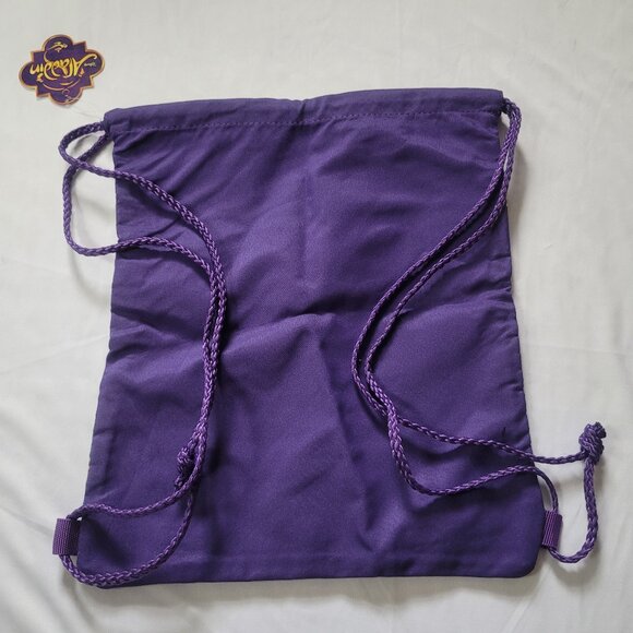 Aladdin bag from Disney Broadway musical NWT - Picture 3 of 3